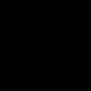 Meet your Posher, Lexi